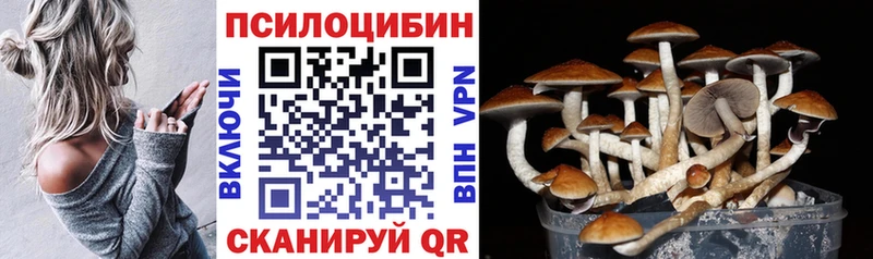 Псилоцибиновые грибы Psilocybe Дятьково